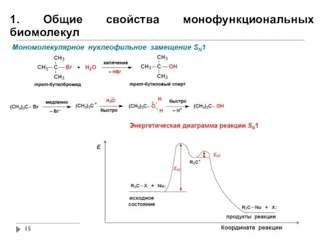 1. Общие свойства монофункциональных биомолекул