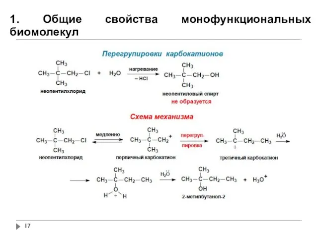 1. Общие свойства монофункциональных биомолекул