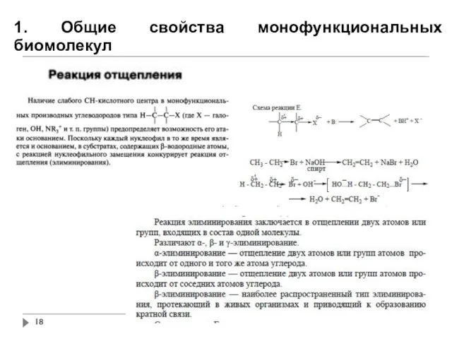 1. Общие свойства монофункциональных биомолекул