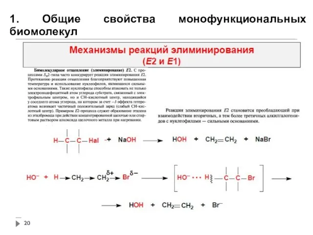 1. Общие свойства монофункциональных биомолекул