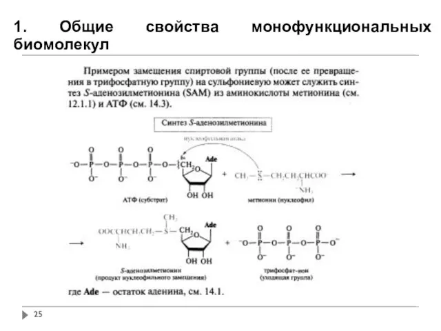 1. Общие свойства монофункциональных биомолекул