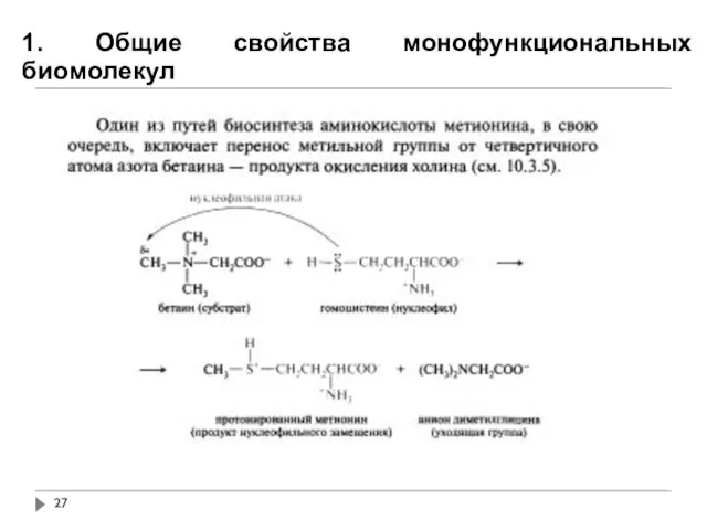 1. Общие свойства монофункциональных биомолекул