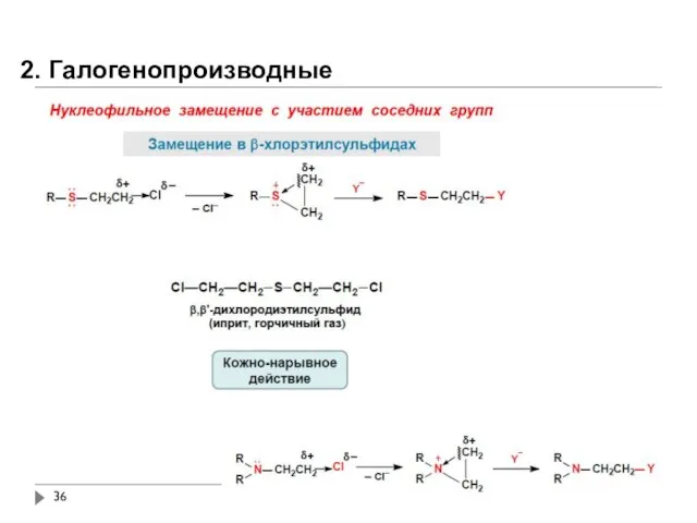 2. Галогенопроизводные