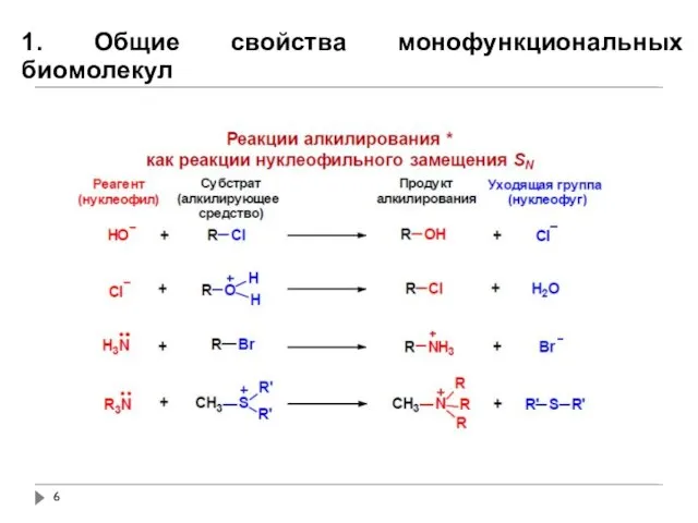 1. Общие свойства монофункциональных биомолекул