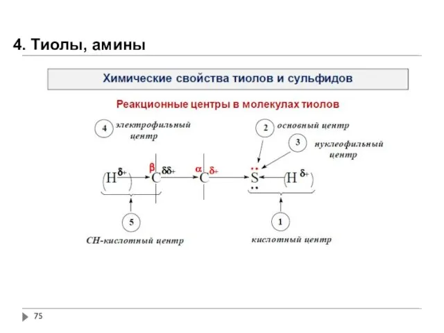 4. Тиолы, амины