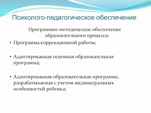 Психолого-педагогическое обеспечение Программно-методическое обеспечение образовательного процесса: Программа коррекционной работы; Адаптированная основная образовательная