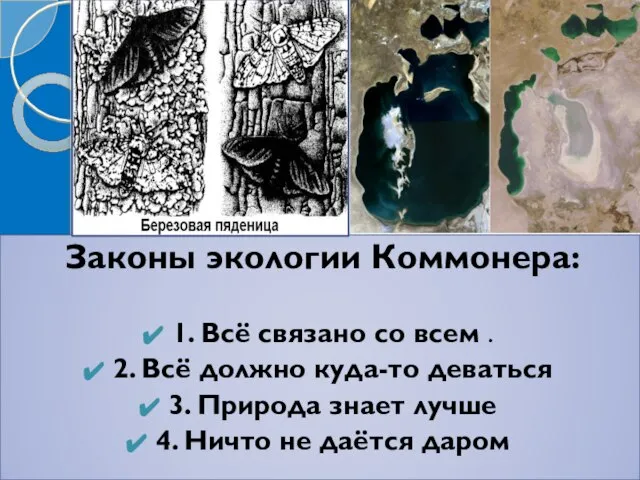 Законы экологии Коммонера: 1. Всё связано со всем . 2. Всё должно