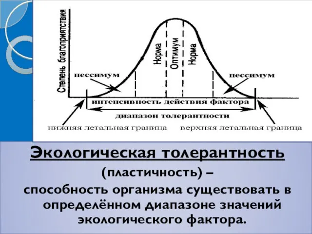 Экологическая толерантность (пластичность) – способность организма существовать в определённом диапазоне значений экологического фактора.