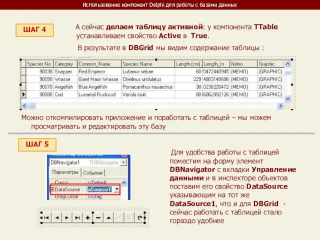 Использование компонент Delphi для работы с базами данных ШАГ 4 А сейчас