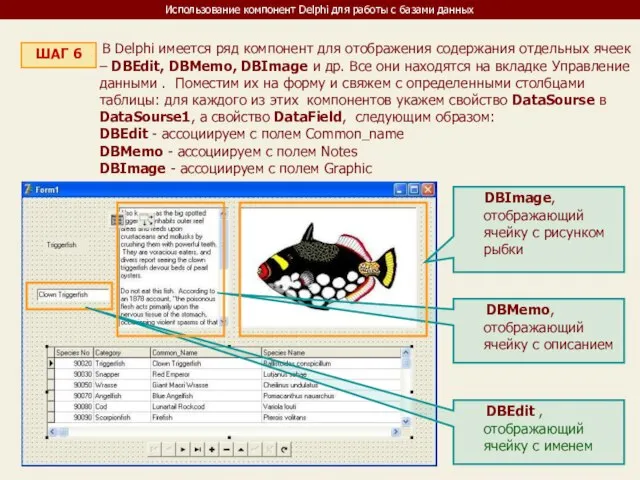 Использование компонент Delphi для работы с базами данных ШАГ 6 В Delphi