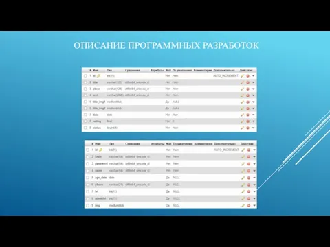 ОПИСАНИЕ ПРОГРАММНЫХ РАЗРАБОТОК