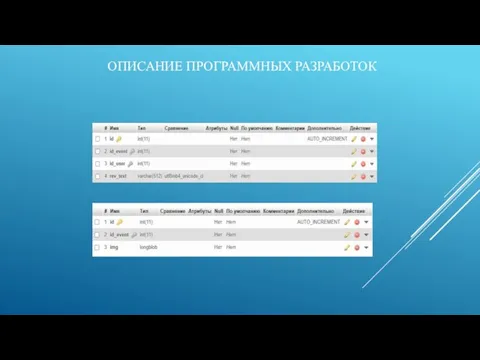 ОПИСАНИЕ ПРОГРАММНЫХ РАЗРАБОТОК