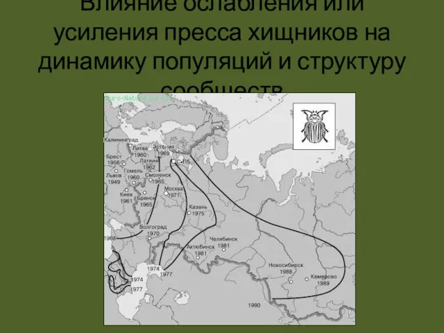 Влияние ослабления или усиления пресса хищников на динамику популяций и структуру сообществ