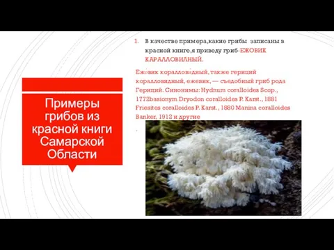 Примеры грибов из красной книги Самарской Области В качестве примера,какие грибы записаны