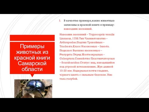 Примеры животных из красной книги Самарской области В качестве примера,какие животные записаны
