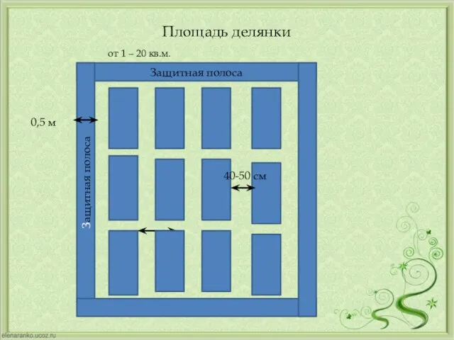 Площадь делянки от 1 – 20 кв.м. Защитная полоса Защитная полоса 0,5 м 40-50 см