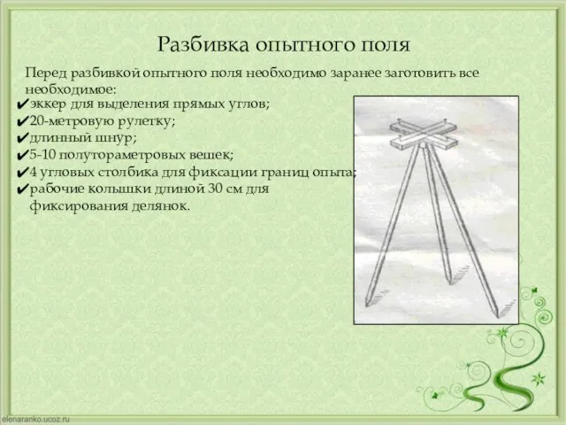 Разбивка опытного поля эккер для выделения прямых углов; 20-метровую рулетку; длинный шнур;