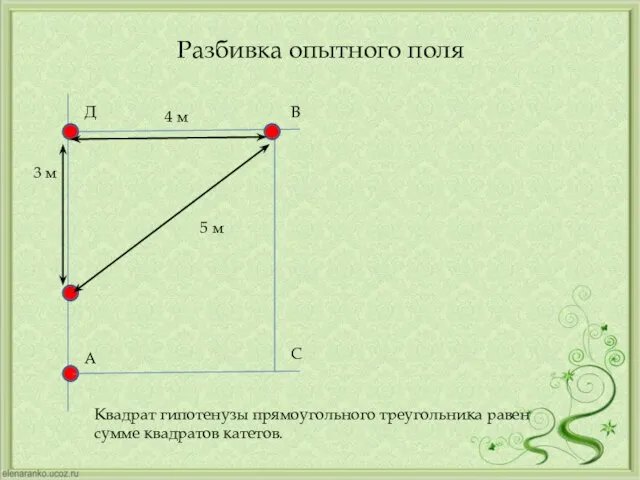 Разбивка опытного поля А Д Квадрат гипотенузы прямоугольного треугольника равен сумме квадратов