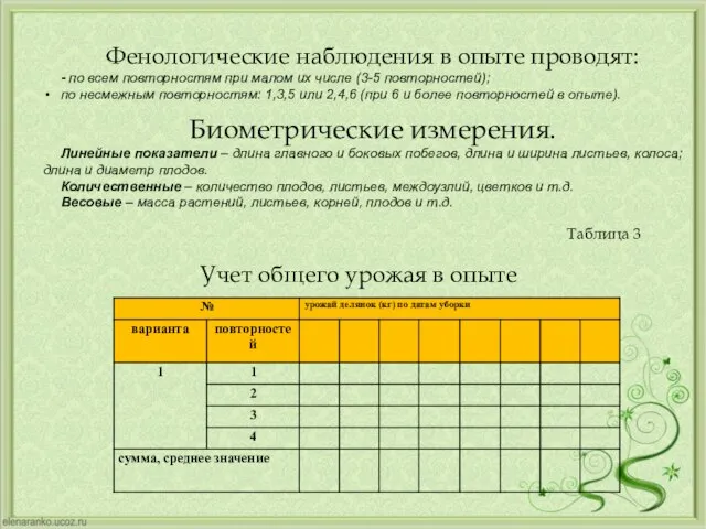 Фенологические наблюдения в опыте проводят: - по всем повторностям при малом их