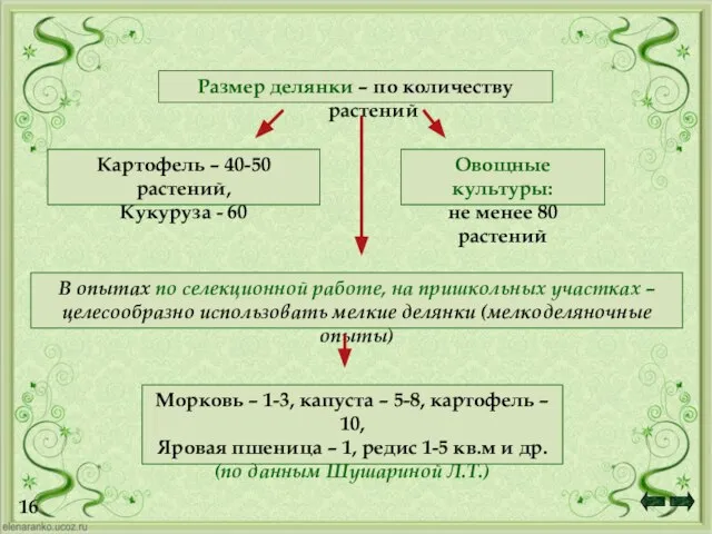 16 Картофель – 40-50 растений, Кукуруза - 60 Овощные культуры: не менее