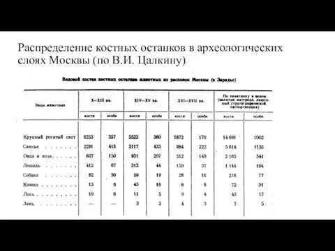 Распределение костных останков в археологических слоях Москвы (по В.И. Цалкину)