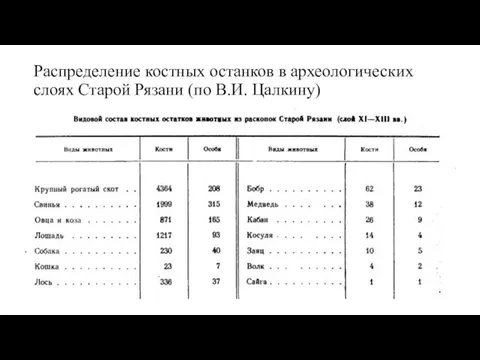 Распределение костных останков в археологических слоях Старой Рязани (по В.И. Цалкину)
