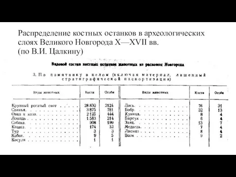 Распределение костных останков в археологических слоях Великого Новгорода X—XVII вв. (по В.И. Цалкину)