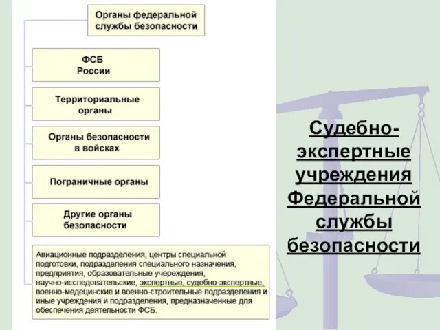 Судебно-экспертные учреждения Федеральной службы безопасности