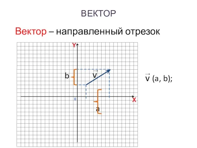 ВЕКТОР