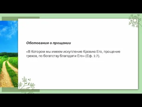 Обетования о прощении «В Котором мы имеем искупление Кровию Его, прощение грехов,