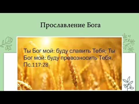 Ты Бог мой: буду славить Тебя; Ты Бог мой: буду превозносить Тебя. Пс.117:28.