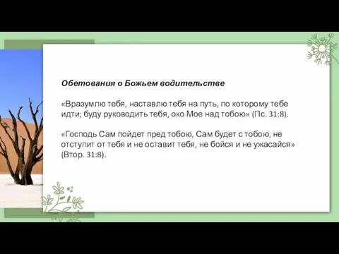 Обетования о Божьем водительстве «Вразумлю тебя, наставлю тебя на путь, по которому