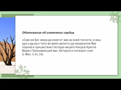 Обетования об изменении сердца «Сам же Бог мира да освятит вас во