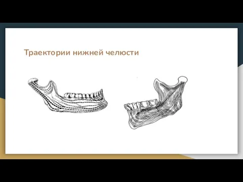 Траектории нижней челюсти