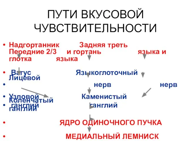 ПУТИ ВКУСОВОЙ ЧУВСТВИТЕЛЬНОСТИ Надгортанник Задняя треть Передние 2/3 и гортань языка и