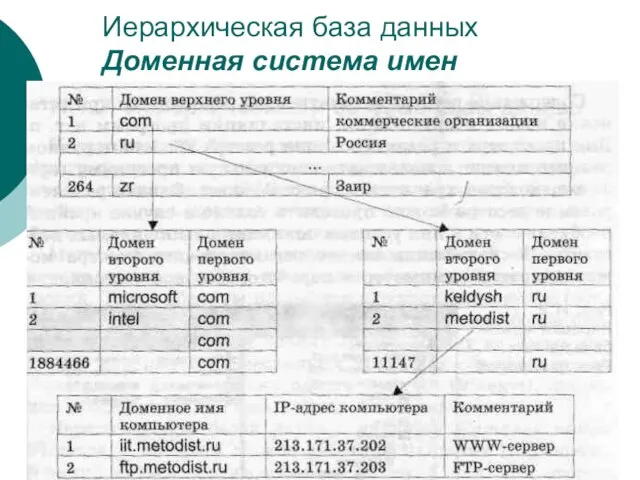 Иерархическая база данных Доменная система имен