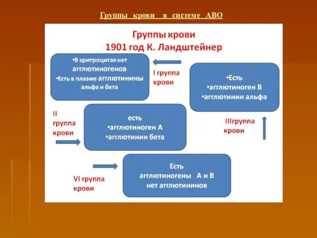 Группы крови в системе АВО