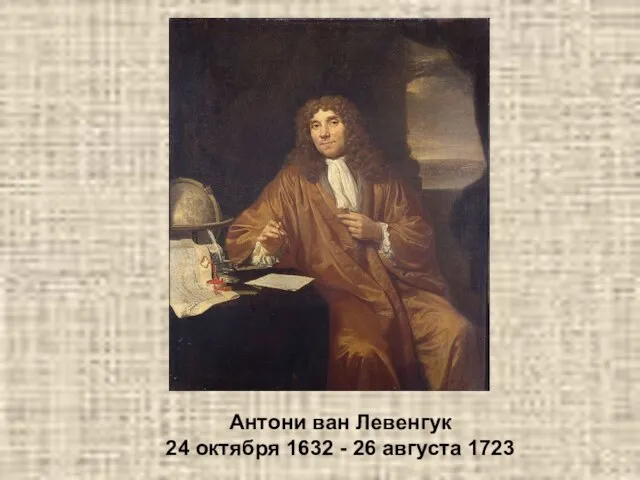 Антони ван Левенгук 24 октября 1632 - 26 августа 1723