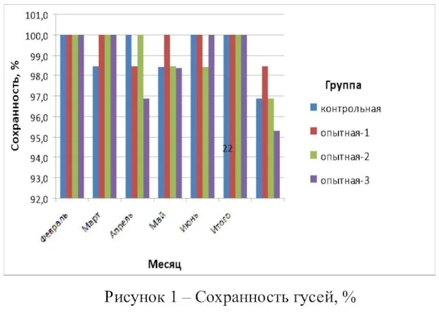 Рисунок 1 – Сохранность гусей, %