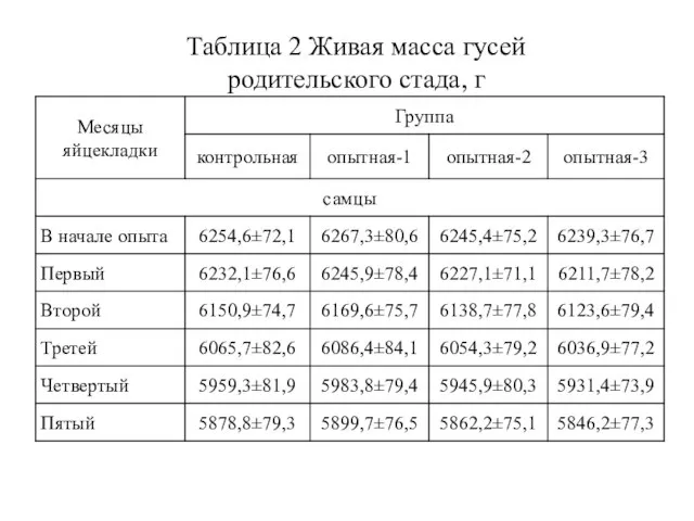 Таблица 2 Живая масса гусей родительского стада, г