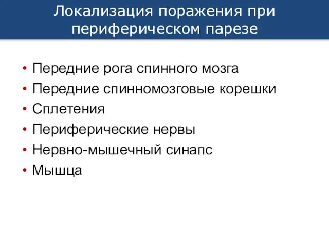 Локализация поражения при периферическом парезе Передние рога спинного мозга Передние спинномозговые корешки