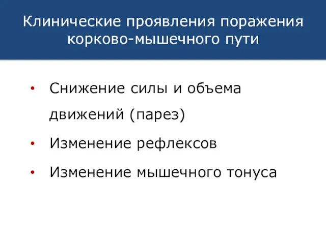 Клинические проявления поражения корково-мышечного пути Снижение силы и объема движений (парез) Изменение рефлексов Изменение мышечного тонуса