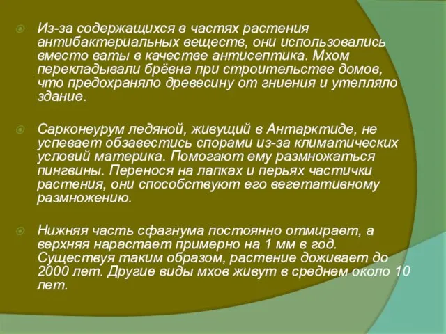 Из-за содержащихся в частях растения антибактериальных веществ, они использовались вместо ваты в