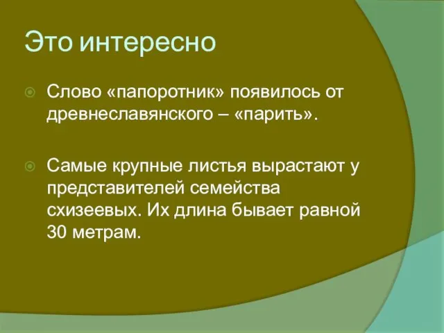 Это интересно Слово «папоротник» появилось от древнеславянского – «парить». Самые крупные листья