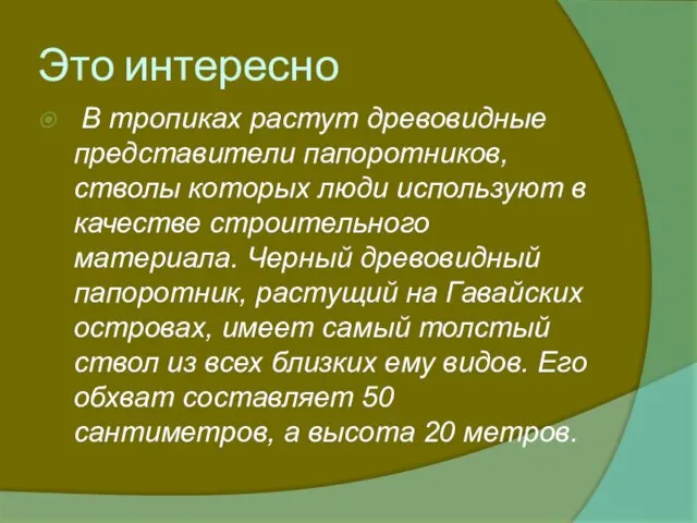 Это интересно В тропиках растут древовидные представители папоротников, стволы которых люди используют