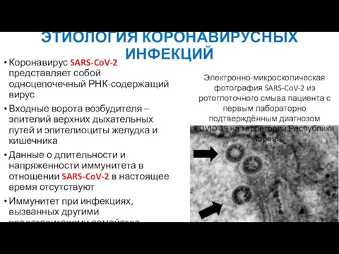 ЭТИОЛОГИЯ КОРОНАВИРУСНЫХ ИНФЕКЦИЙ Коронавирус SARS-CoV-2 представляет собой одноцепочечный РНК-содержащий вирус Входные ворота