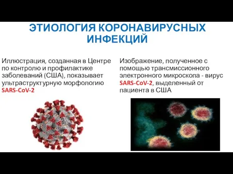 ЭТИОЛОГИЯ КОРОНАВИРУСНЫХ ИНФЕКЦИЙ Иллюстрация, созданная в Центре по контролю и профилактике заболеваний