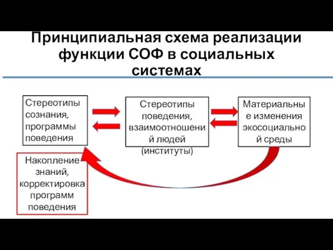 Принципиальная схема реализации функции СОФ в социальных системах Стереотипы сознания, программы поведения