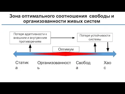 Зона оптимального соотношения свободы и организованности живых систем Организованность Свобода Хаос Статика