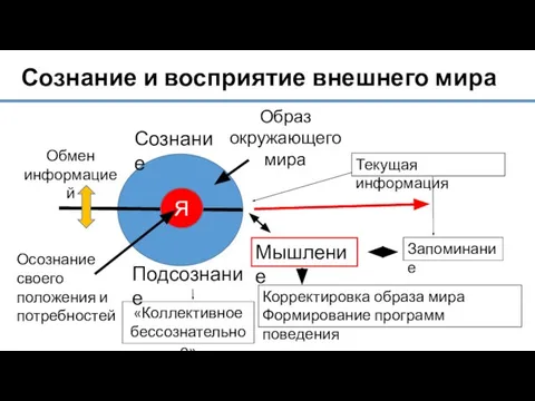 Сознание и восприятие внешнего мира Я Сознание Подсознание Образ окружающего мира Обмен